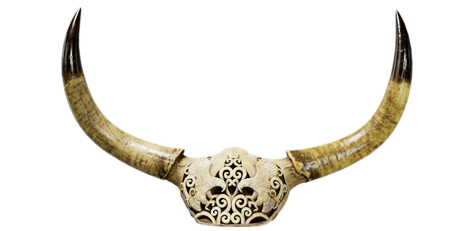 Antler Wall Decoration