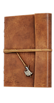 Музыкальный альбом Рейса