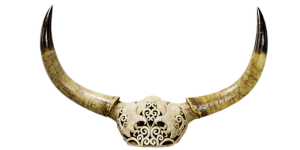 Antler Wall Decoration